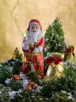 JAN C. BRETTSCHNEIDER