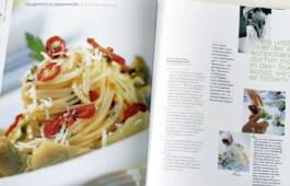 JAN C. BRETTSCHNEIDER