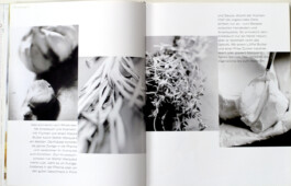 JAN C. BRETTSCHNEIDER