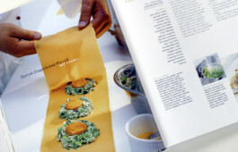 JAN C. BRETTSCHNEIDER