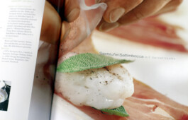 JAN C. BRETTSCHNEIDER