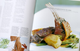 JAN C. BRETTSCHNEIDER