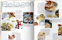 JAN C. BRETTSCHNEIDER