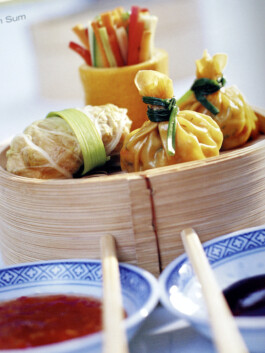 JAN C. BRETTSCHNEIDER