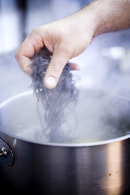 JAN C. BRETTSCHNEIDER