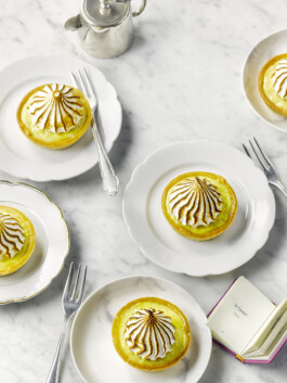 JAN C. BRETTSCHNEIDER