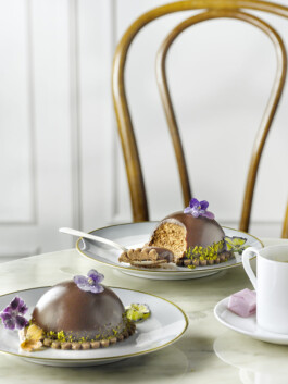 JAN C. BRETTSCHNEIDER