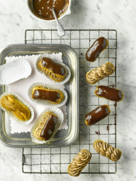 JAN C. BRETTSCHNEIDER