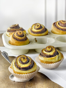 JAN C. BRETTSCHNEIDER