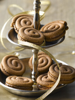 JAN C. BRETTSCHNEIDER