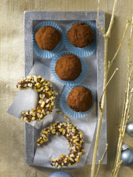 JAN C. BRETTSCHNEIDER