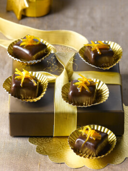 JAN C. BRETTSCHNEIDER