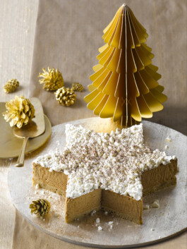 JAN C. BRETTSCHNEIDER