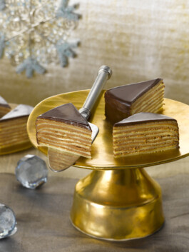 JAN C. BRETTSCHNEIDER