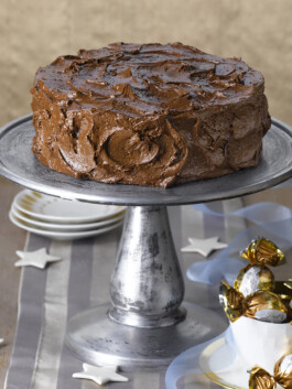 JAN C. BRETTSCHNEIDER