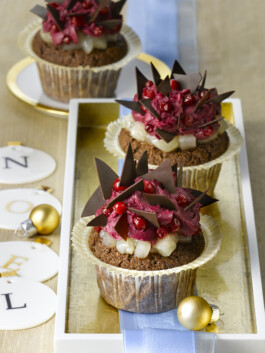 JAN C. BRETTSCHNEIDER