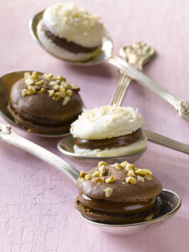 JAN C. BRETTSCHNEIDER