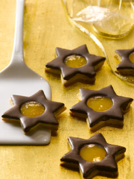 JAN C. BRETTSCHNEIDER