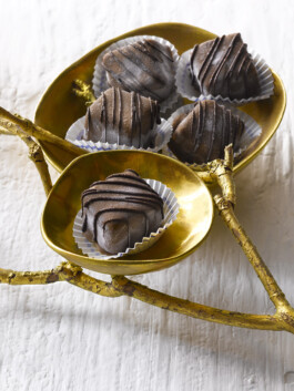 JAN C. BRETTSCHNEIDER