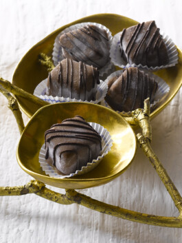 JAN C. BRETTSCHNEIDER