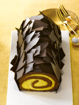 JAN C. BRETTSCHNEIDER