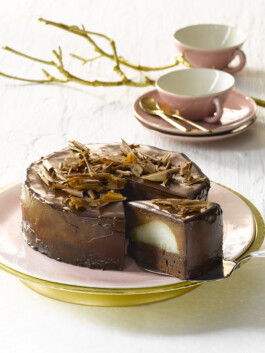 JAN C. BRETTSCHNEIDER