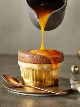 JAN C. BRETTSCHNEIDER