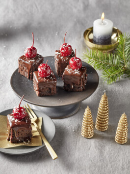 JAN C. BRETTSCHNEIDER