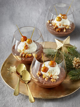 JAN C. BRETTSCHNEIDER