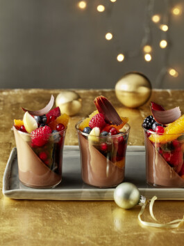 JAN C. BRETTSCHNEIDER