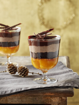 JAN C. BRETTSCHNEIDER