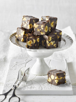 JAN C. BRETTSCHNEIDER