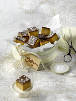 JAN C. BRETTSCHNEIDER