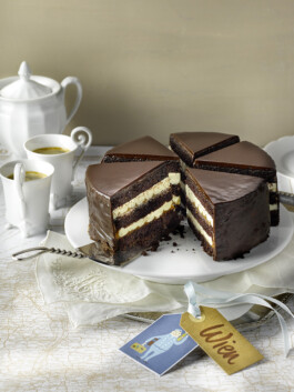 JAN C. BRETTSCHNEIDER