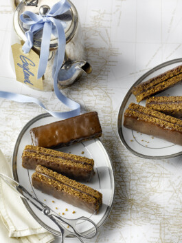 JAN C. BRETTSCHNEIDER