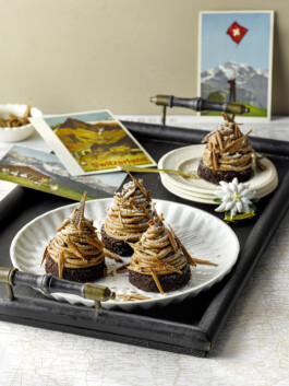 JAN C. BRETTSCHNEIDER