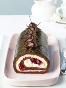 JAN C. BRETTSCHNEIDER