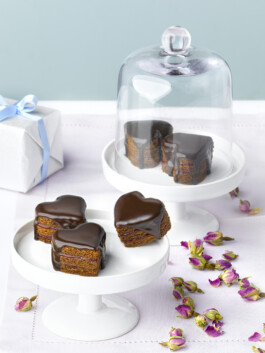 JAN C. BRETTSCHNEIDER