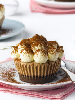 JAN C. BRETTSCHNEIDER