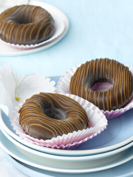 JAN C. BRETTSCHNEIDER