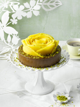 JAN C. BRETTSCHNEIDER