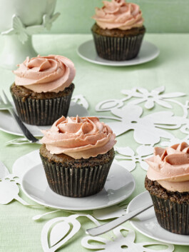 JAN C. BRETTSCHNEIDER