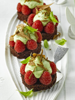 JAN C. BRETTSCHNEIDER