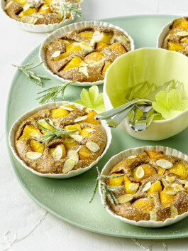 JAN C. BRETTSCHNEIDER