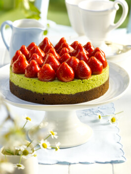 JAN C. BRETTSCHNEIDER