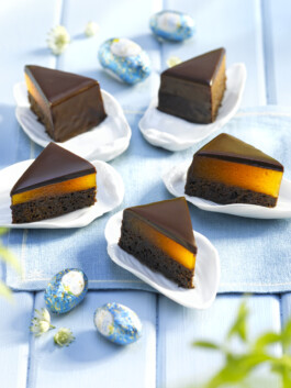 JAN C. BRETTSCHNEIDER