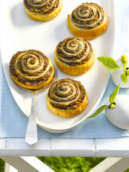 JAN C. BRETTSCHNEIDER