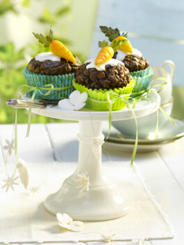 JAN C. BRETTSCHNEIDER