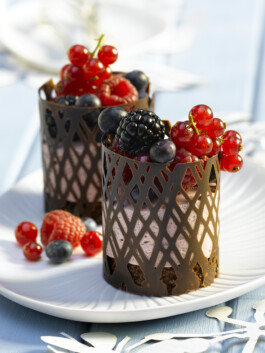 JAN C. BRETTSCHNEIDER