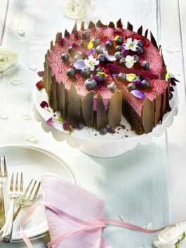 JAN C. BRETTSCHNEIDER